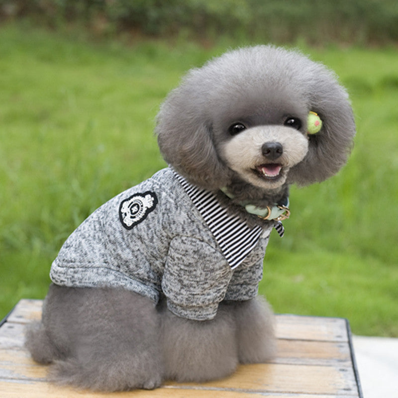 Cão com hoodie cinzento ao ar livre