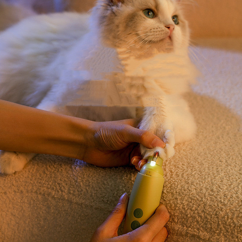 Gato a ter as unhas limadas com a lixa elétrica