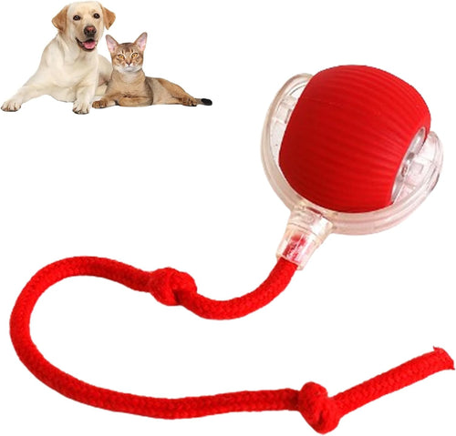 Bola interativa automática para cães