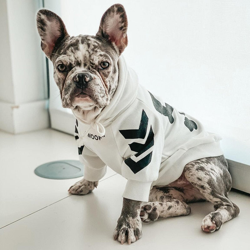 Casaco de Inverno com Capuz para Cão