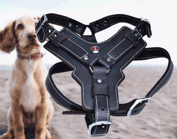 Peitoral em Couro Genuíno para Cão