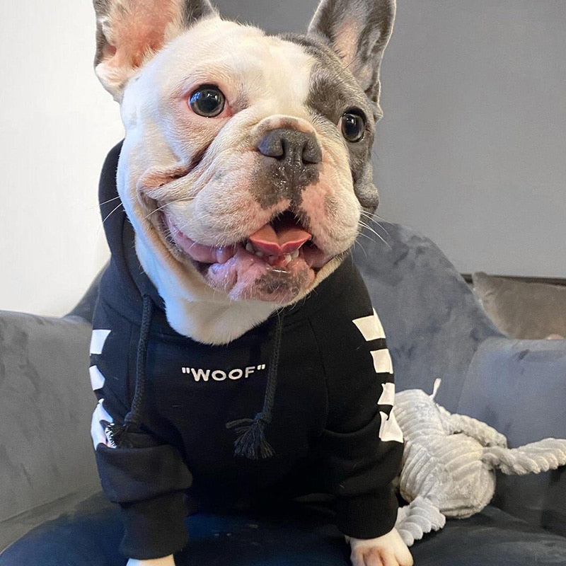 Casaco de Inverno com Capuz para Cão