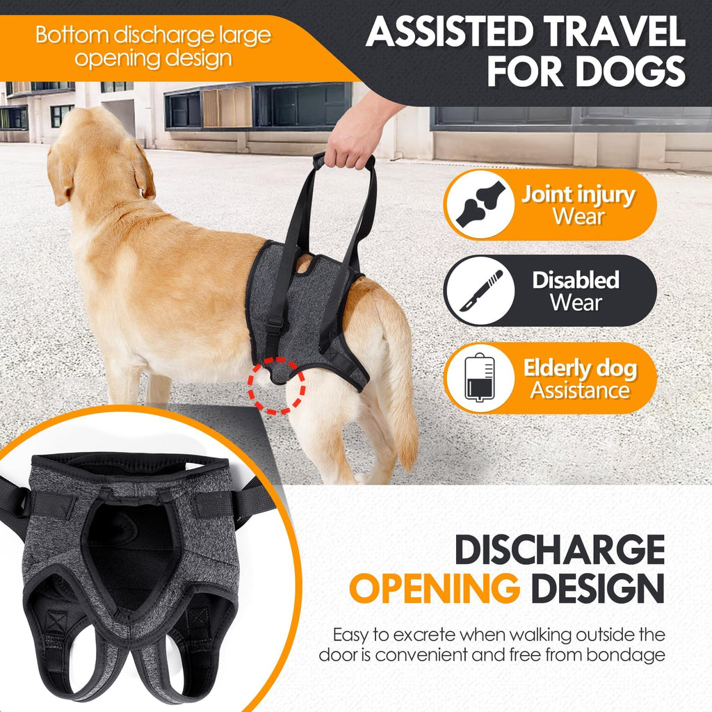 Arnês de Apoio para Patas Traseiras