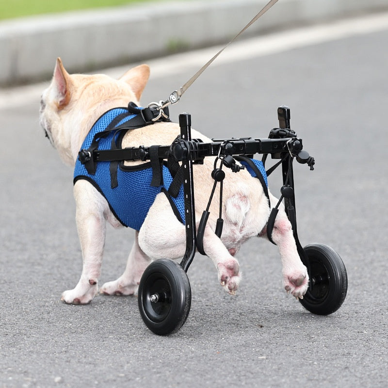 Cadeira de Rodas Ajustável para Cão