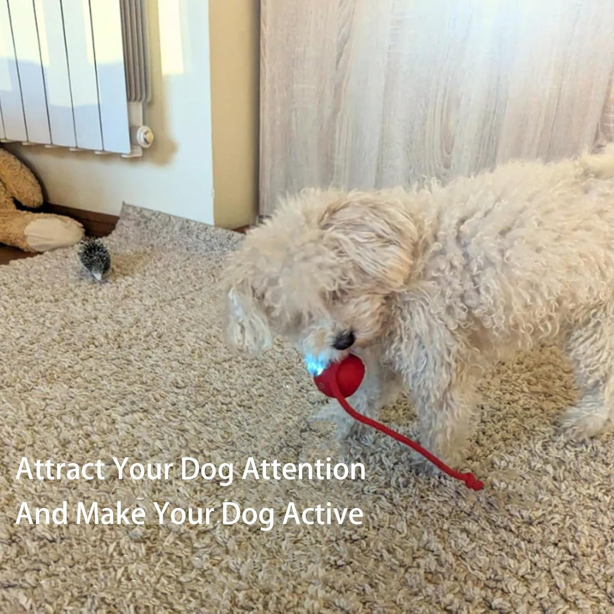 Bola interativa automática para cães – foto 8