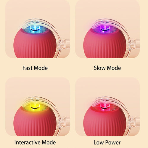 Bola interativa automática para cães – foto 2