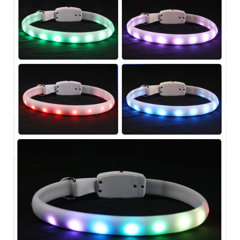 Coleira LED recarregável – foto 4