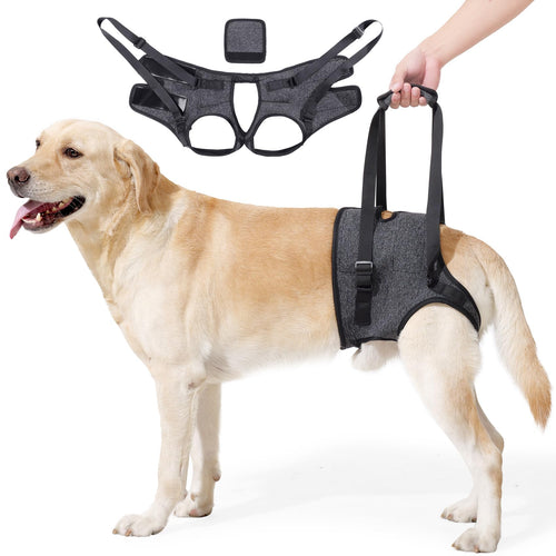 Arnês de Apoio para Patas Traseiras