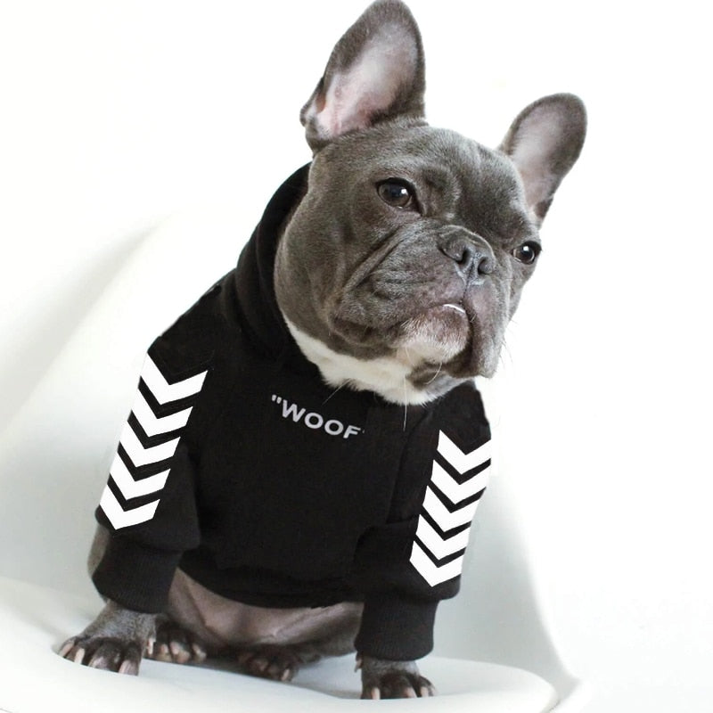 Casaco de Inverno com Capuz para Cão