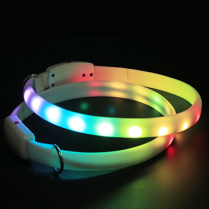 Coleira LED recarregável – foto 2