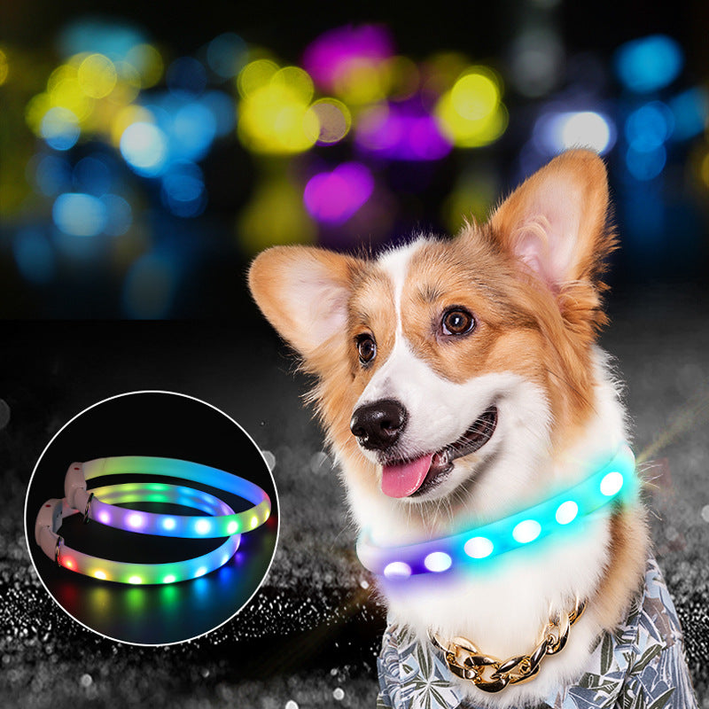 Coleira LED recarregável