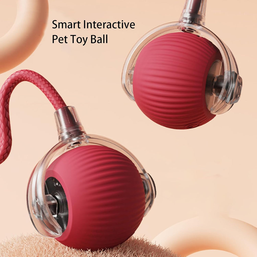 Bola interativa automática para cães – foto 3