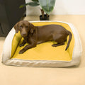 Cama Ortopédica Lounger para Cão e Gato